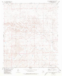 Download a high-resolution, GPS-compatible USGS topo map for Arroyo Serrano East, NM (1981 edition)