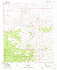 Download a high-resolution, GPS-compatible USGS topo map for Arroyo Serrano West, NM (1981 edition)