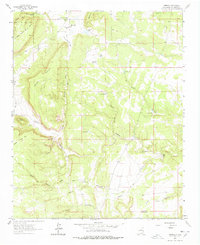 Download a high-resolution, GPS-compatible USGS topo map for Aurora, NM (1978 edition)