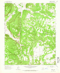 Download a high-resolution, GPS-compatible USGS topo map for Aurora, NM (1966 edition)