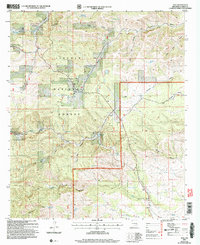 Download a high-resolution, GPS-compatible USGS topo map for Avis, NM (2006 edition)