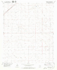Download a high-resolution, GPS-compatible USGS topo map for Badger Lake, NM (1979 edition)
