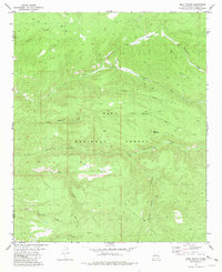 Download a high-resolution, GPS-compatible USGS topo map for Baily Points, NM (1981 edition)