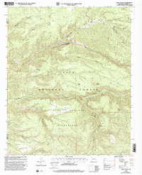 Download a high-resolution, GPS-compatible USGS topo map for Baily Points, NM (2002 edition)