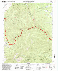 Download a high-resolution, GPS-compatible USGS topo map for Baldy Mountain, NM (1998 edition)
