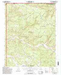 Download a high-resolution, GPS-compatible USGS topo map for Bancos Mesa, NM (1997 edition)