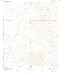 Download a high-resolution, GPS-compatible USGS topo map for Bandanna Point, NM (1978 edition)