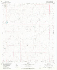 Download a high-resolution, GPS-compatible USGS topo map for Bassett Lake, NM (1980 edition)