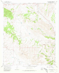 Download a high-resolution, GPS-compatible USGS topo map for Bear Mountain, NM (1981 edition)