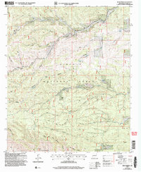 Download a high-resolution, GPS-compatible USGS topo map for Bear Spring, NM (2006 edition)