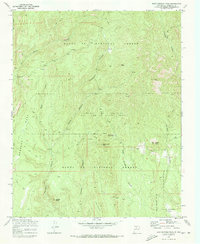 Download a high-resolution, GPS-compatible USGS topo map for Bear Springs Peak, NM (1973 edition)