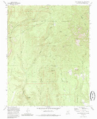 Download a high-resolution, GPS-compatible USGS topo map for Bear Springs Peak, NM (1985 edition)