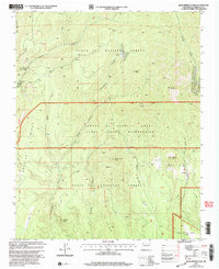 Download a high-resolution, GPS-compatible USGS topo map for Bear Springs Peak, NM (2003 edition)