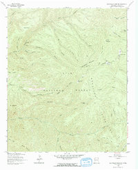 Download a high-resolution, GPS-compatible USGS topo map for Bearwallow Mountain, NM (1965 edition)