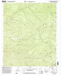 Download a high-resolution, GPS-compatible USGS topo map for Bearwallow Mountain, NM (2002 edition)