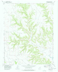 Download a high-resolution, GPS-compatible USGS topo map for Beenham, NM (1978 edition)
