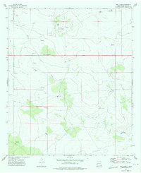 preview thumbnail of historical topo map of Lea County, NM in 1973