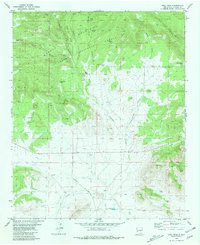 Download a high-resolution, GPS-compatible USGS topo map for Bell Peak, NM (1981 edition)