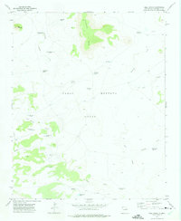 Download a high-resolution, GPS-compatible USGS topo map for Bell Ranch, NM (1972 edition)