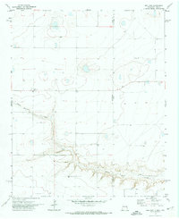 Download a high-resolution, GPS-compatible USGS topo map for Bellview, NM (1974 edition)