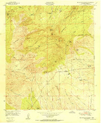 Download a high-resolution, GPS-compatible USGS topo map for Big Burro Mountains, NM (1951 edition)