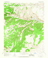 Download a high-resolution, GPS-compatible USGS topo map for Bighorn Peak, NM (1967 edition)