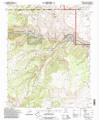 Download a high-resolution, GPS-compatible USGS topo map for Bighorn Peak, NM (1998 edition)