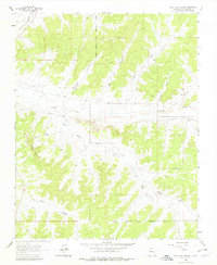 Download a high-resolution, GPS-compatible USGS topo map for Billy Rice Canyon, NM (1978 edition)