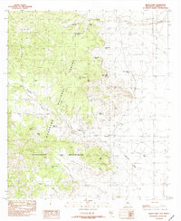Download a high-resolution, GPS-compatible USGS topo map for Black Point, NM (1982 edition)