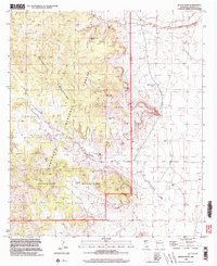 preview thumbnail of historical topo map of Hidalgo County, NM in 1998