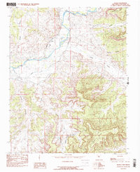 Download a high-resolution, GPS-compatible USGS topo map for Blanco, NM (1985 edition)
