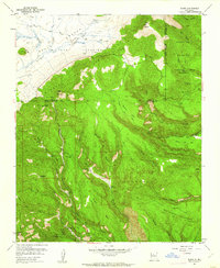 Download a high-resolution, GPS-compatible USGS topo map for Bland, NM (1962 edition)