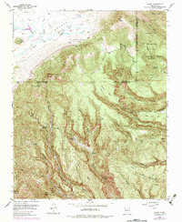 Download a high-resolution, GPS-compatible USGS topo map for Bland, NM (1984 edition)
