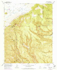 Download a high-resolution, GPS-compatible USGS topo map for Bland, NM (1978 edition)