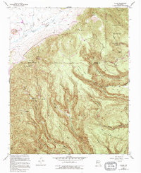 Download a high-resolution, GPS-compatible USGS topo map for Bland, NM (1995 edition)