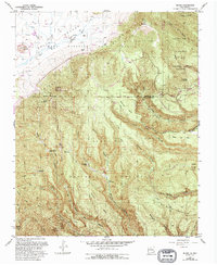Download a high-resolution, GPS-compatible USGS topo map for Bland, NM (1993 edition)