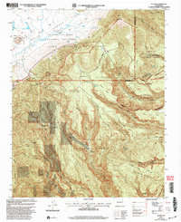 Download a high-resolution, GPS-compatible USGS topo map for Bland, NM (2003 edition)