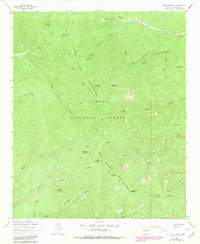 Download a high-resolution, GPS-compatible USGS topo map for Blue Mountain, NM (1981 edition)