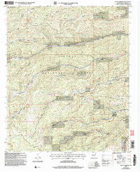 Download a high-resolution, GPS-compatible USGS topo map for Bluff Springs, NM (2006 edition)