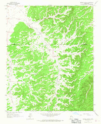 Download a high-resolution, GPS-compatible USGS topo map for Bonine Canyon, NM (1967 edition)