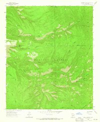 Download a high-resolution, GPS-compatible USGS topo map for Bonner Canyon, NM (1965 edition)
