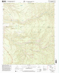 Download a high-resolution, GPS-compatible USGS topo map for Bonner Canyon, NM (2002 edition)