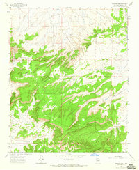 Download a high-resolution, GPS-compatible USGS topo map for Borrego Pass, NM (1965 edition)