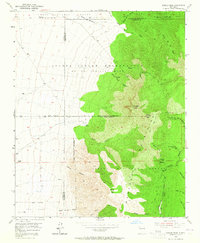 Download a high-resolution, GPS-compatible USGS topo map for Bosque Peak, NM (1965 edition)