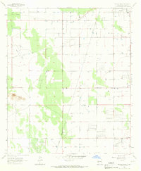 Download a high-resolution, GPS-compatible USGS topo map for Bowlin Ranch, NM (1967 edition)