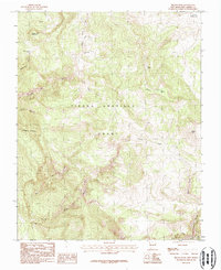 Download a high-resolution, GPS-compatible USGS topo map for Brazos Peak, NM (1987 edition)