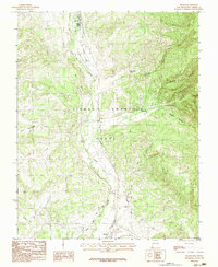 Download a high-resolution, GPS-compatible USGS topo map for Brazos, NM (1983 edition)