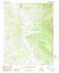 Download a high-resolution, GPS-compatible USGS topo map for Brazos, NM (1988 edition)