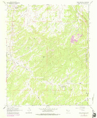 Download a high-resolution, GPS-compatible USGS topo map for Bread Springs, NM (1979 edition)