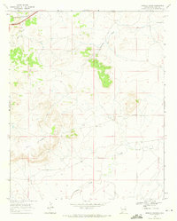 Download a high-resolution, GPS-compatible USGS topo map for Briscoe Ranch, NM (1971 edition)